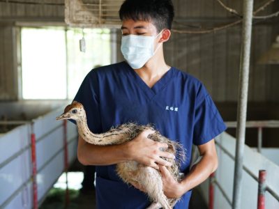 慶林鴕鳥場_200930_1